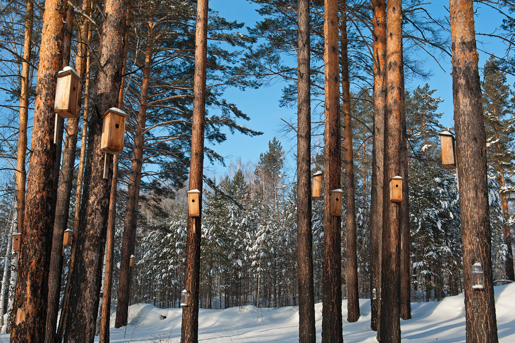 �����������